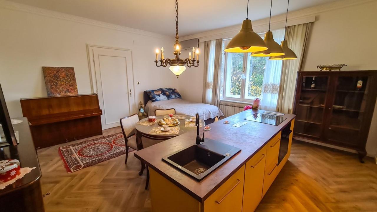 Goldie Zagreb Buitenkant foto